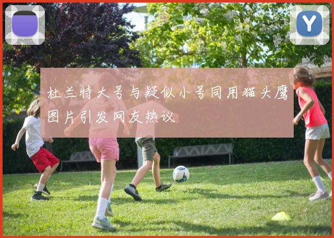 杜兰特大号与疑似小号同用猫头鹰图片引发网友热议