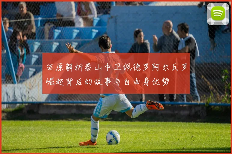 苗原解析泰山中卫佩德罗阿尔瓦罗崛起背后的故事与自由身优势